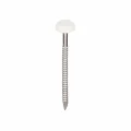 Polytop nagels RVS 2,1x30mm verkeerswit