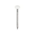 Polytop nagels RVS 2,1x40mm verkeerswit
