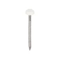 Polytop nagels RVS 3,5x50mm verkeerswit